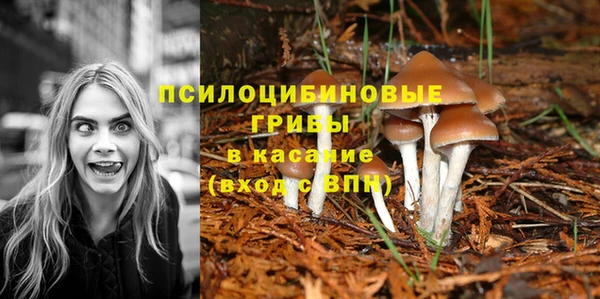 бошки Богородск