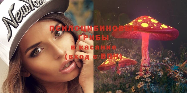 бошки Богородск