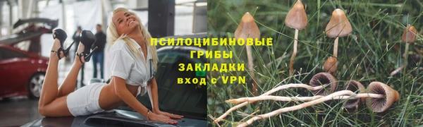 2c-b Белоозёрский