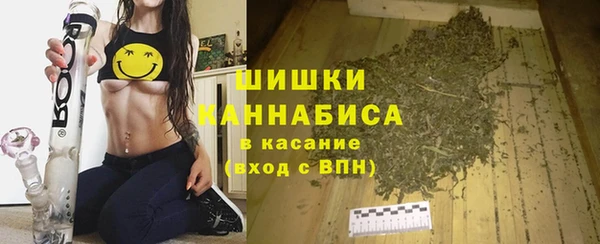 прущие грибы Богданович