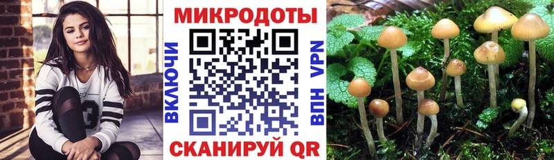Галлюциногенные грибы прущие грибы  Александровское 